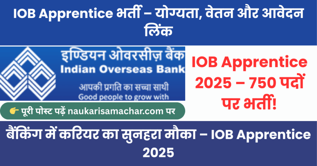 IOB Apprentice Recruitment 2025