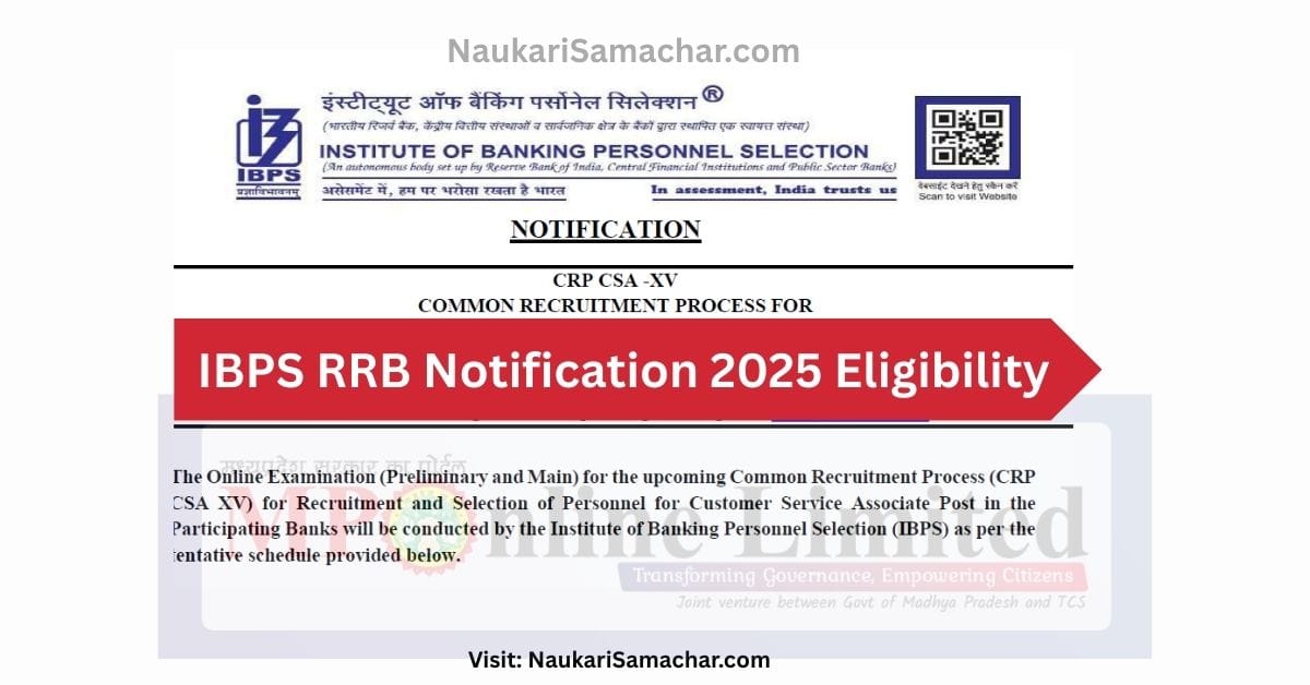 IBPS RRB Notification 2025 Eligibility Naukari Samachar