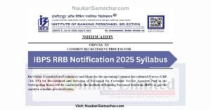 IBPS RRB Notification 2025 Syllabus Latest Jobs