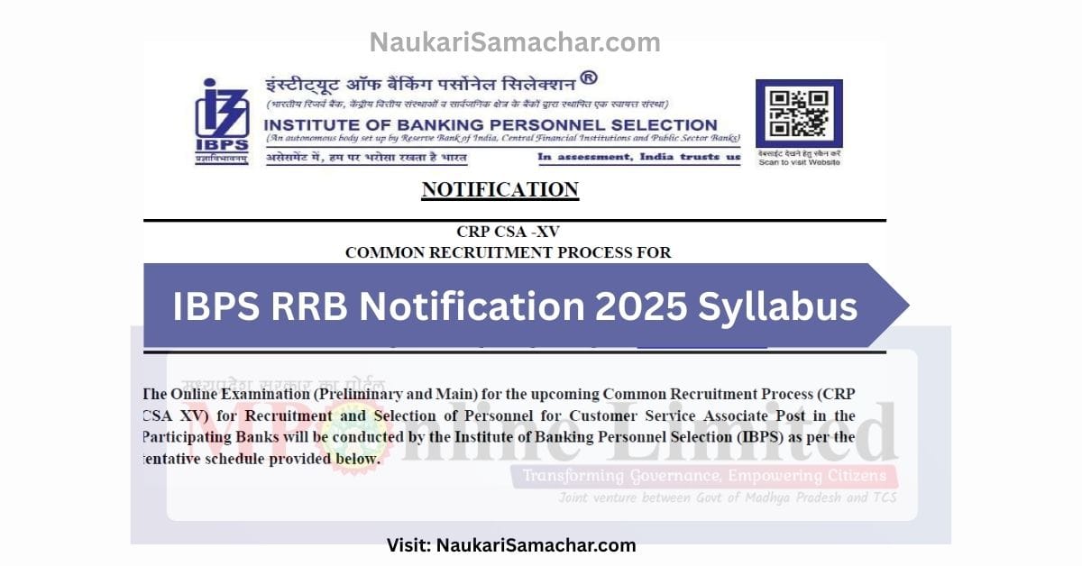 IBPS RRB Notification 2025 Syllabus Naukari Samachar