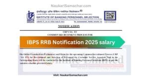 IBPS RRB Notification 2025 salary Latest Jobs