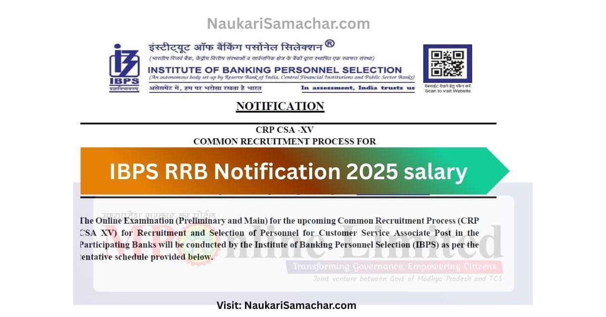 IBPS RRB Notification 2025 salary Naukari Samachar